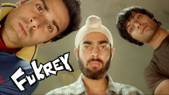 Fukrey (2013)