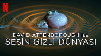 David Attenborough İle Sesin Gizli Dünyası (2024)