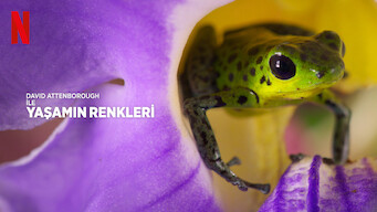 David Attenborough ile Yaşamın Renkleri (2021)