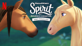 Spirit Özgürce Koşuyor: Spirit Masalları (2019)